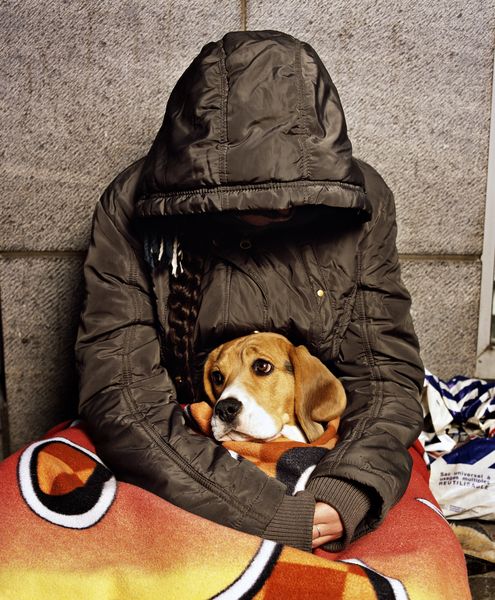 0318-andres-serrano-camelia-resultat