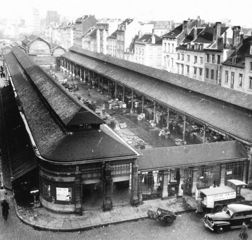 025 - Vismet1950 poissons